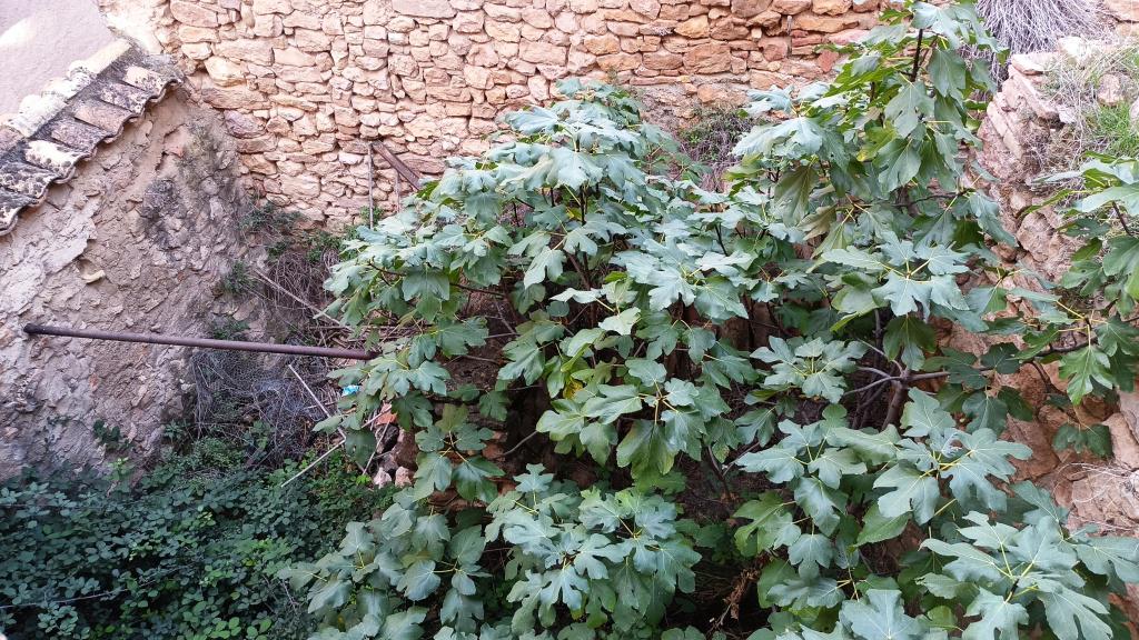 Imagen 12 Casa en venta en Alquézar / Centro del pueblo