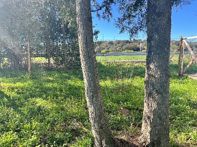 Imagen 19 Inmueble 292458 - Casa en venta en Peraltilla / Carretera Nacional 240 