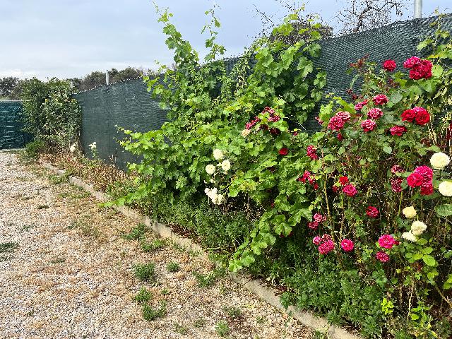 Imagen 11 Inmueble 294498 - Casa Rústica en venta en Barbastro / Cercano al Club de tenis