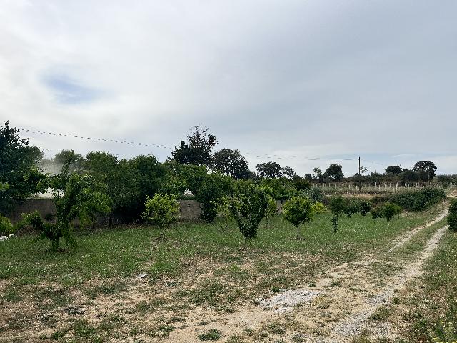 Imagen 16 Inmueble 294498 - Casa Rústica en venta en Barbastro / Cercano al Club de tenis