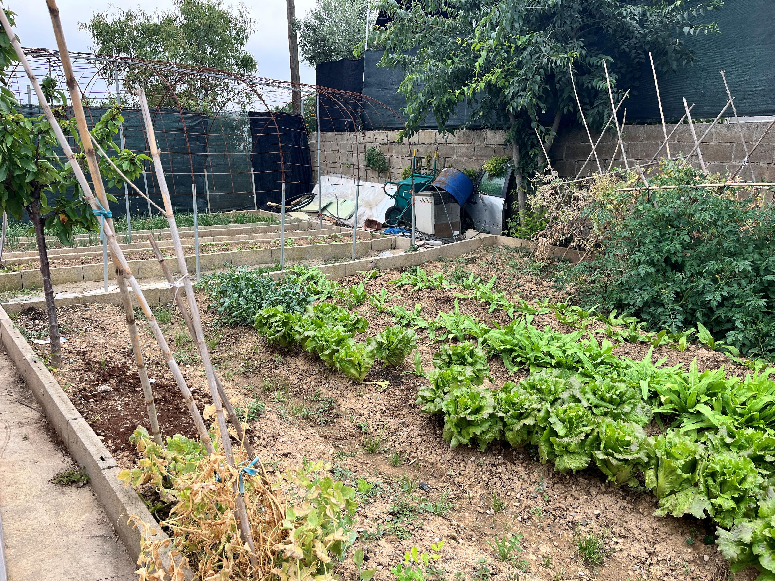 Imagen 15 Casa Rústica en venta en Barbastro / Cercano al Club de tenis