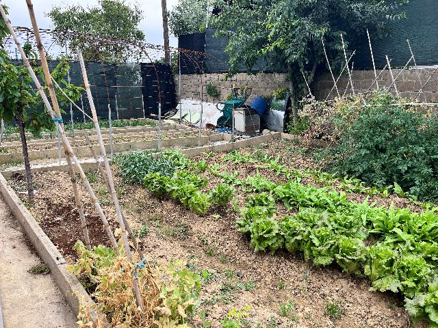 Imagen 15 Inmueble 294498 - Casa Rústica en venta en Barbastro / Cercano al Club de tenis