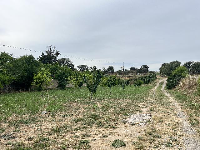 Imagen 17 Inmueble 294498 - Casa Rústica en venta en Barbastro / Cercano al Club de tenis