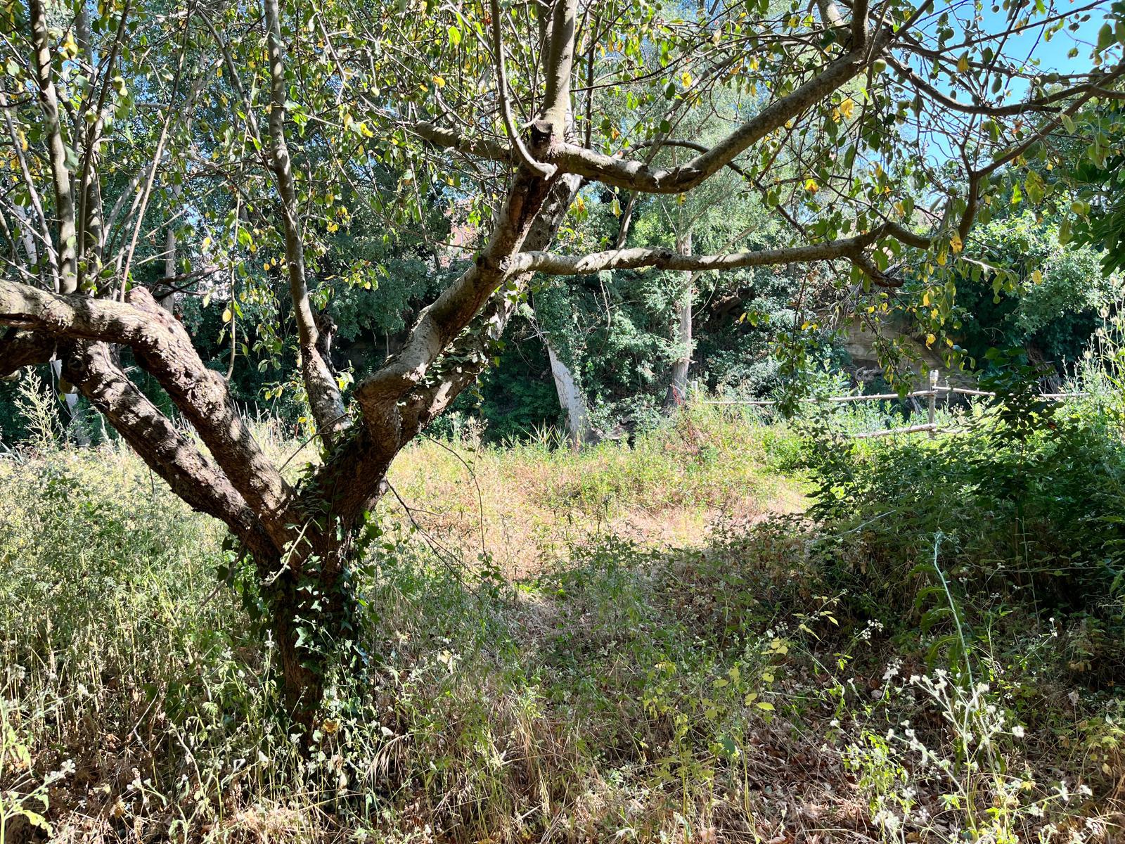 Imagen 10 Casa Adosada en venta en Castillazuelo / Zona Sur de Castillazuelo.