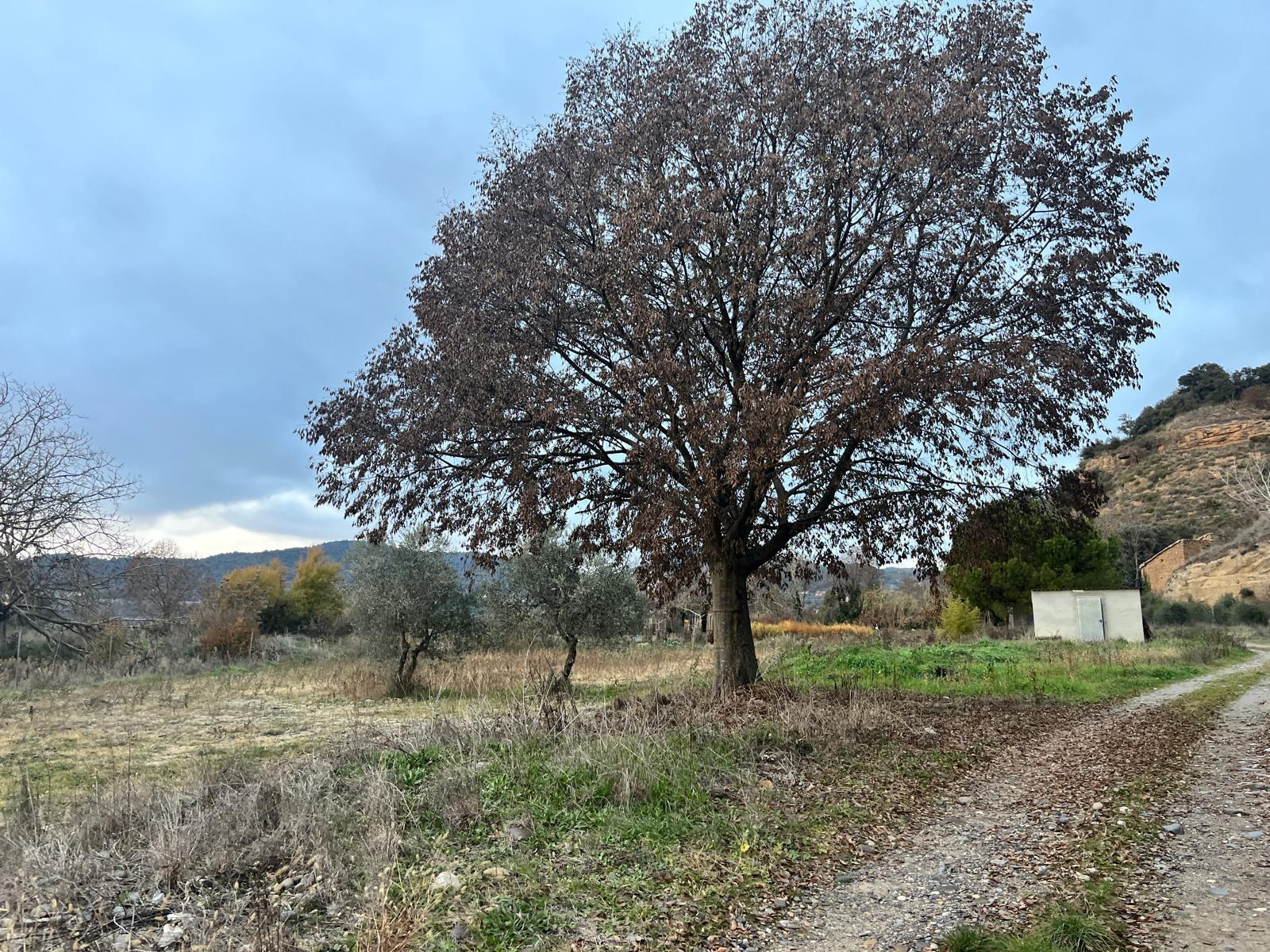 Imagen 14 Casa en venta en Grado El / Zona Centro de Artasona.