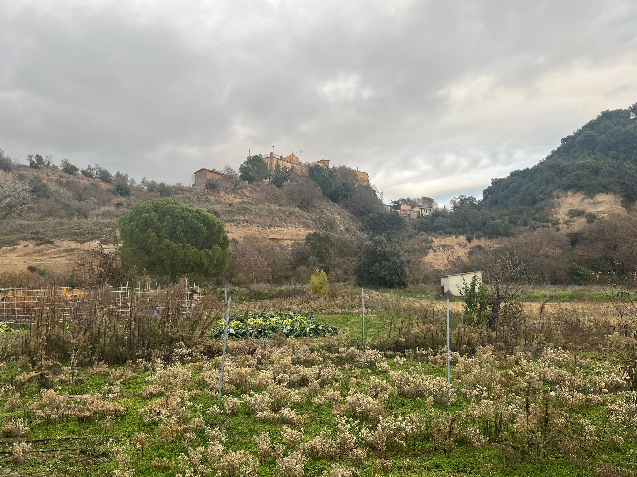 Imagen 18 Casa en venta en Grado El / Zona Centro de Artasona.