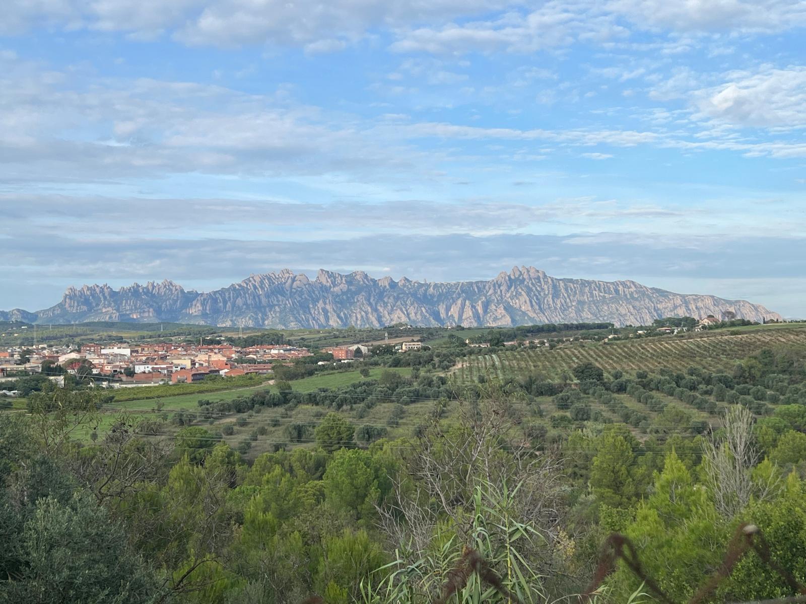 Imagen 27 Casa Aislada en venta en Piera / Can Claramunt - Piera