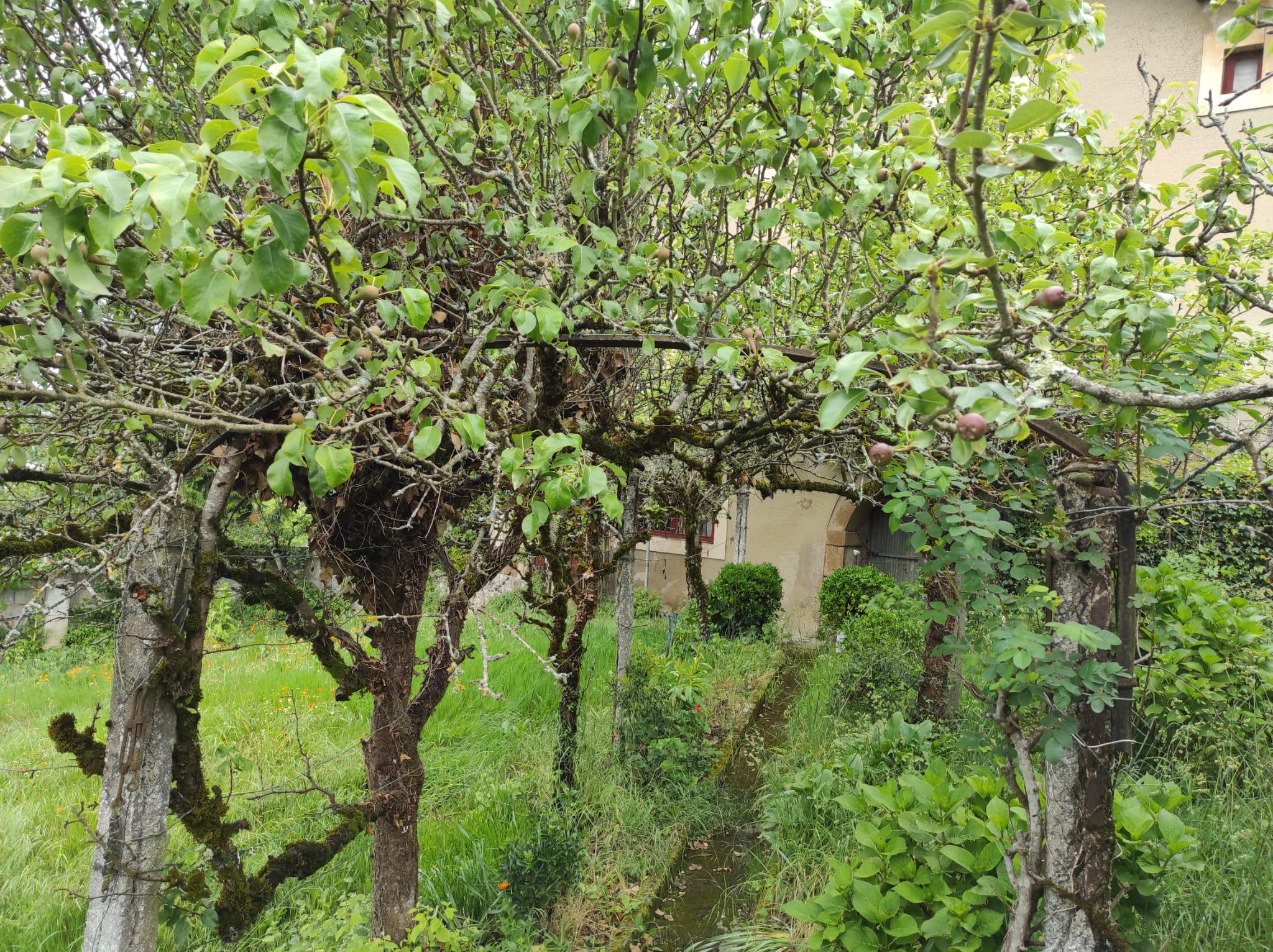 Imagen 11 Casa en venta en Elgeta / Zona     Elgeta