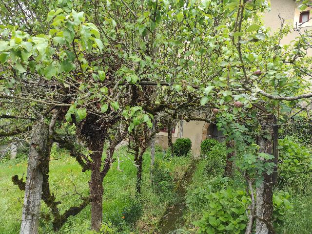 Imagen 11 Inmueble 15691 - Casa en venta en Elgeta / Zona     Elgeta