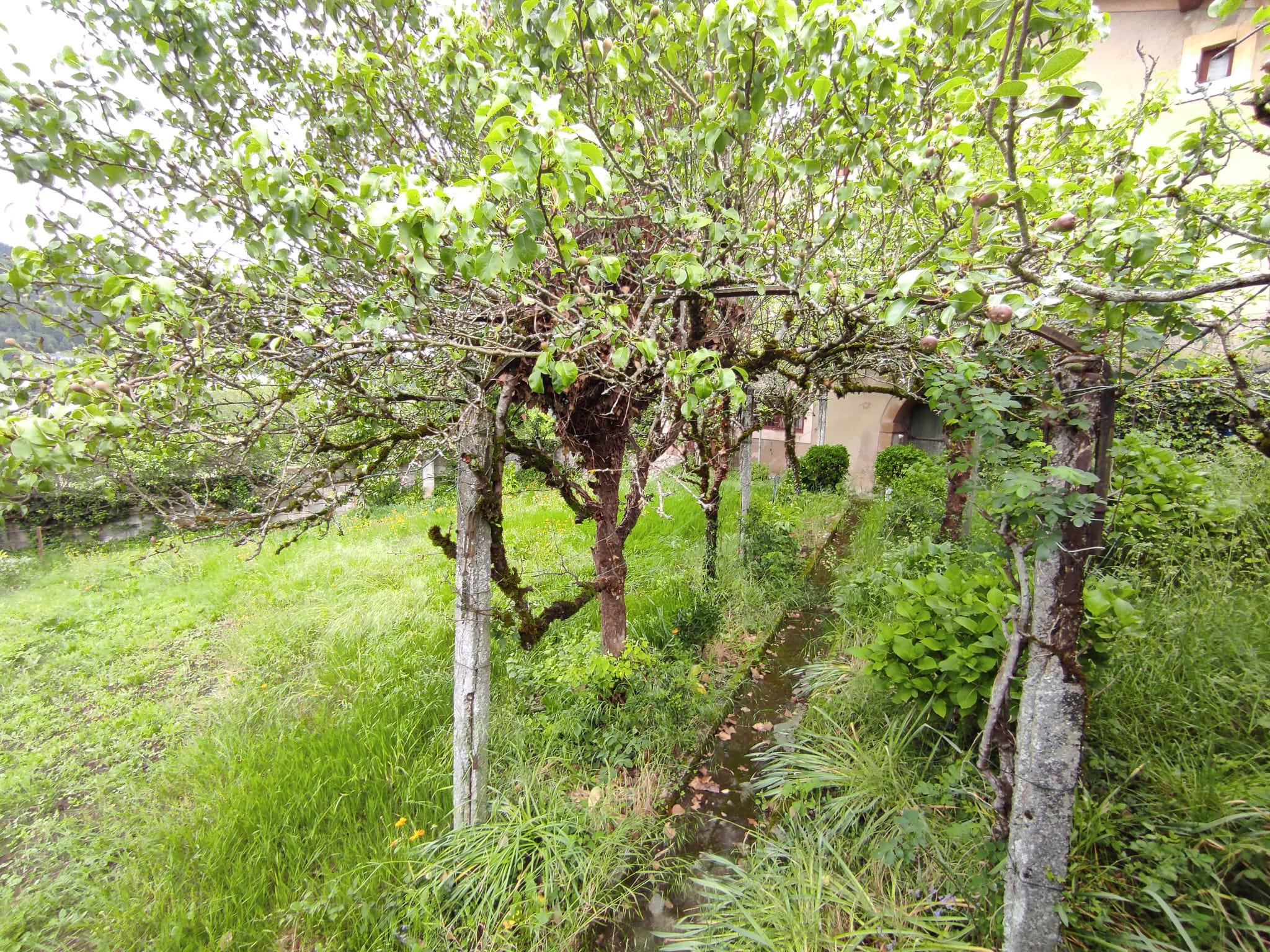 Imagen 14 Casa en venta en Elgeta / Zona     Elgeta