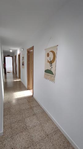 Imagen 27 Inmueble 297192 - Casa Rústica en venta en Elgoibar / Elgoibar, zona accesible, entorno para turismo rural.