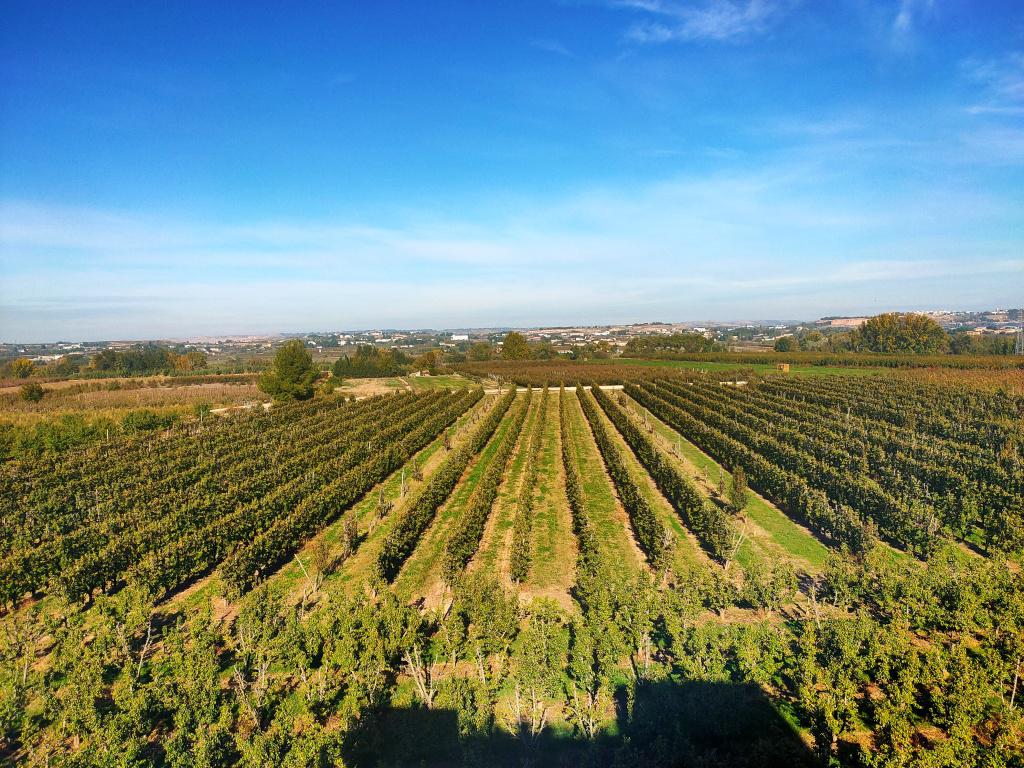 Imagen 5 Casa en venta en Albatàrrec / Albatàrrec Lleida