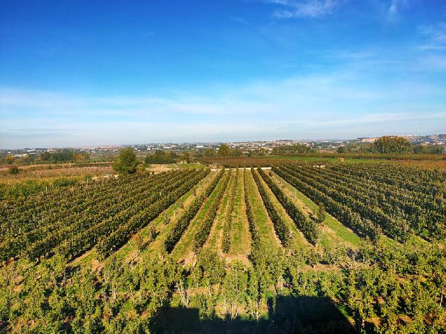 Imagen 5 Inmueble 267564 - Casa en venta en Albatàrrec / Albatàrrec (Lleida)