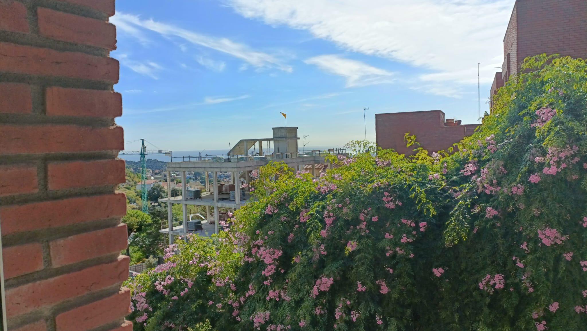 Imagen 7 Piso en venta en Barcelona / Josep Maria Jujol - Collserola