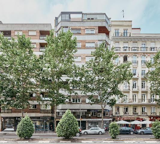 Imagen 33 Inmueble 290280 - Piso en venta en Madrid / Junto a la Calle de Francisco Silvela.