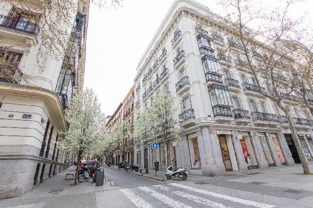 Imagen 1 Inmueble 290497 - Piso en venta en Madrid / Recoletos al lado del Colegio del Pilar 