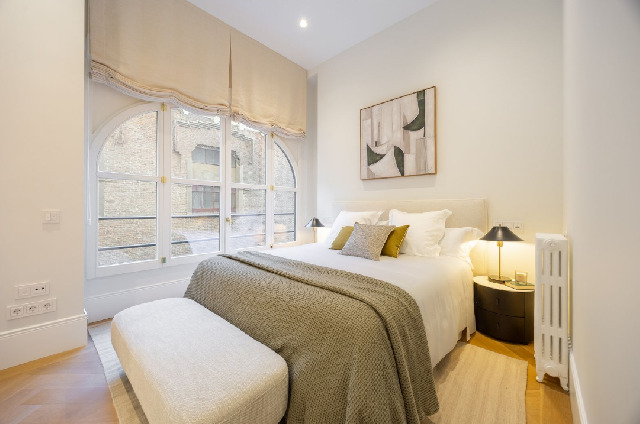 Imagen 17 Inmueble 295050 - Piso en venta en Madrid / Entre el Paseo del Prado y el Parque del Retiro.