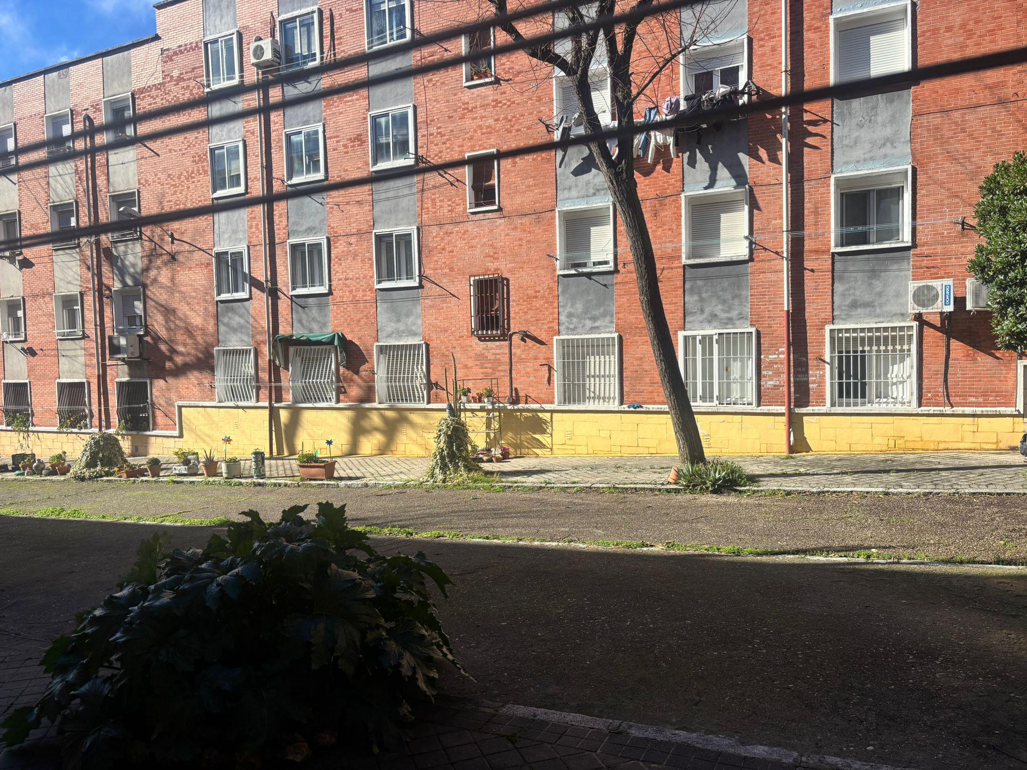 Imagen 11 Piso en venta en Madrid / Al lado de la Avenida de la Albufera.