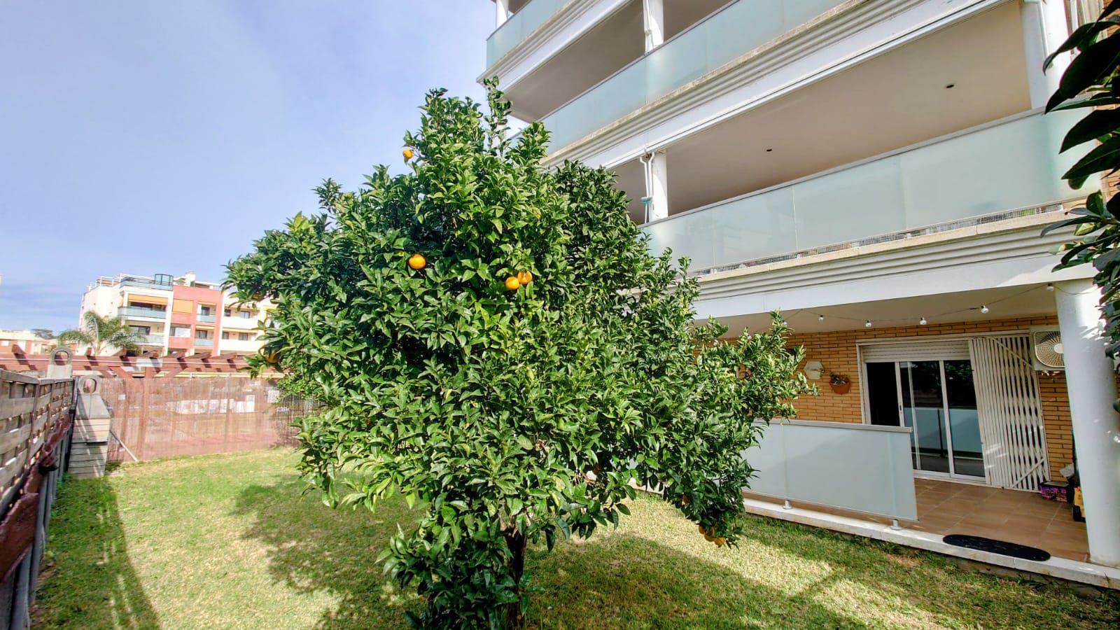Imagen 19 Planta Baja en venta en Cunit / Rambla del Prat de Cunit