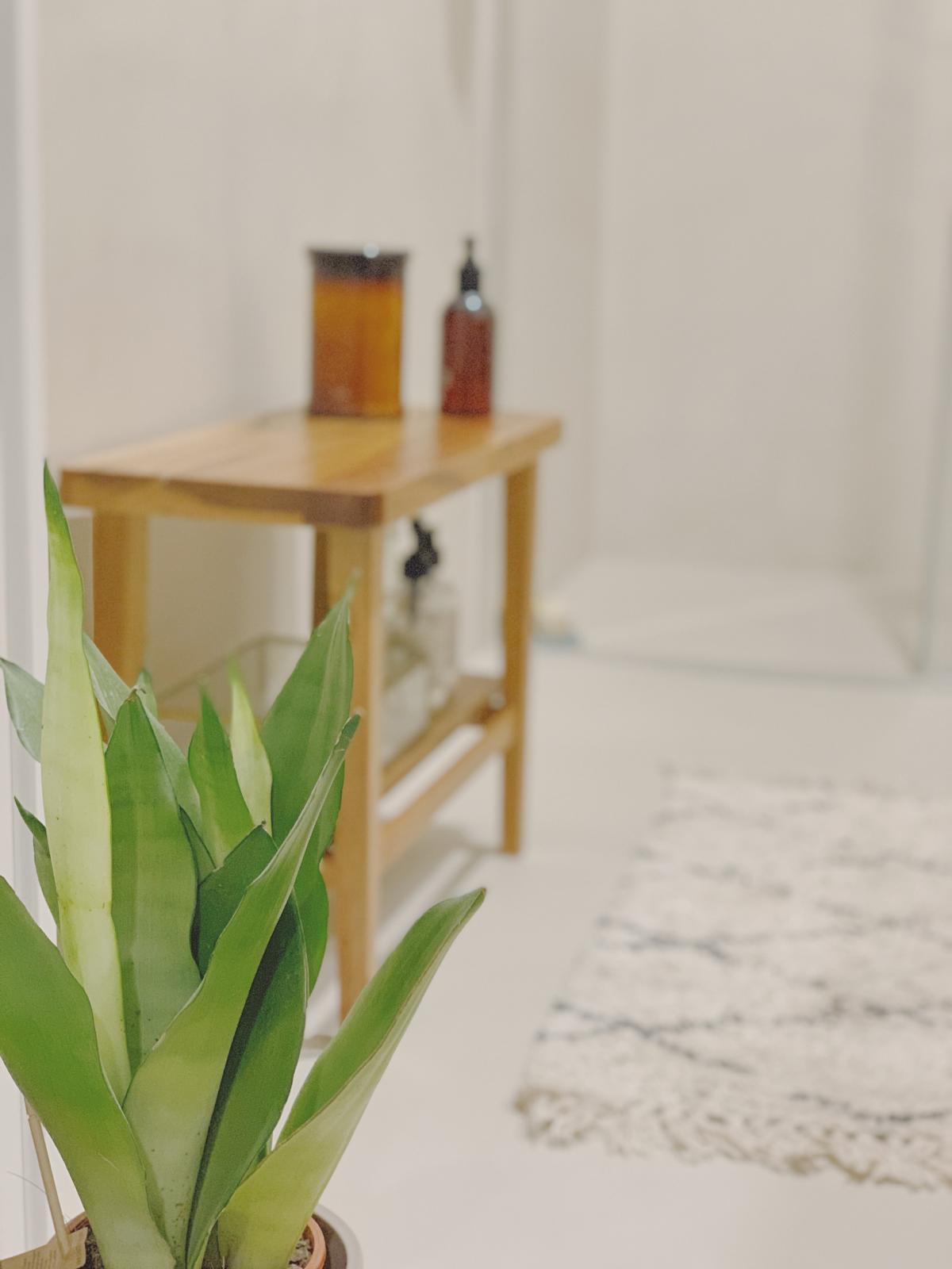 Imagen 33 Planta Baja en venta en Cornellà De Llobregat / Junto plaça de Lluis Marsans y calle Miranda 