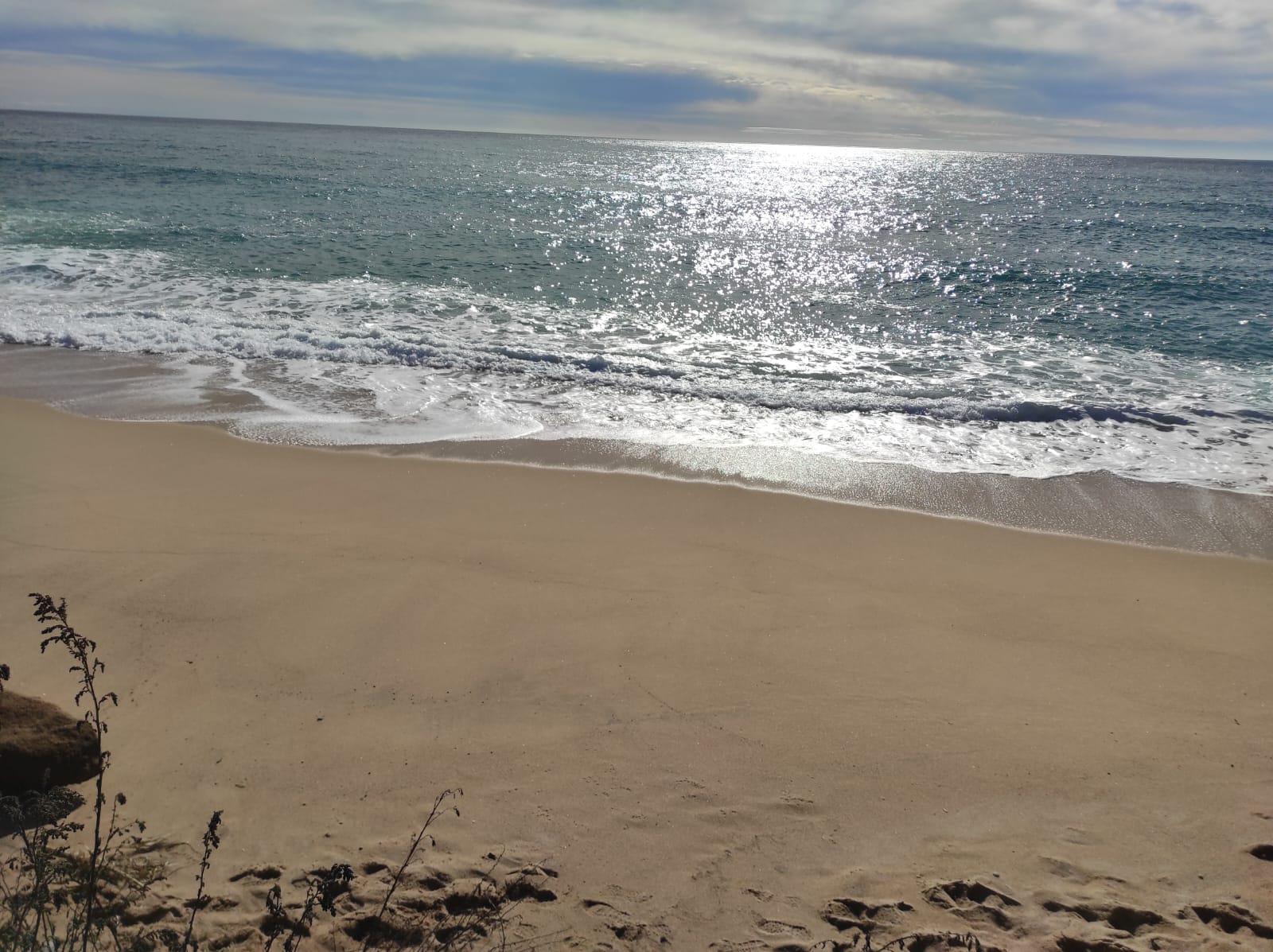 Imagen 19 Apartamento en venta en Tossa De Mar / Cala Llorell, cala Llevado, urb. Santa Maria De Llorell