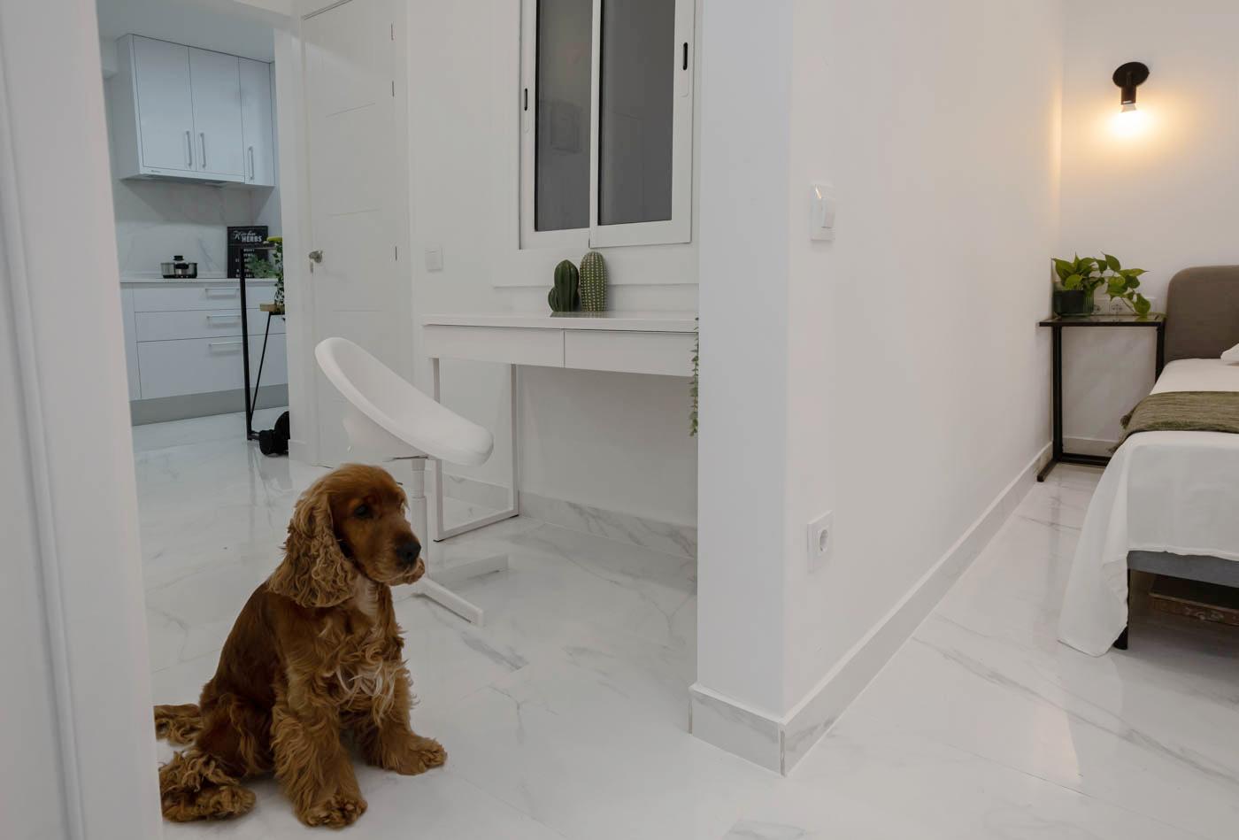 Imagen 29 Piso en venta en Barcelona / Junto Ronda Sant Antoni