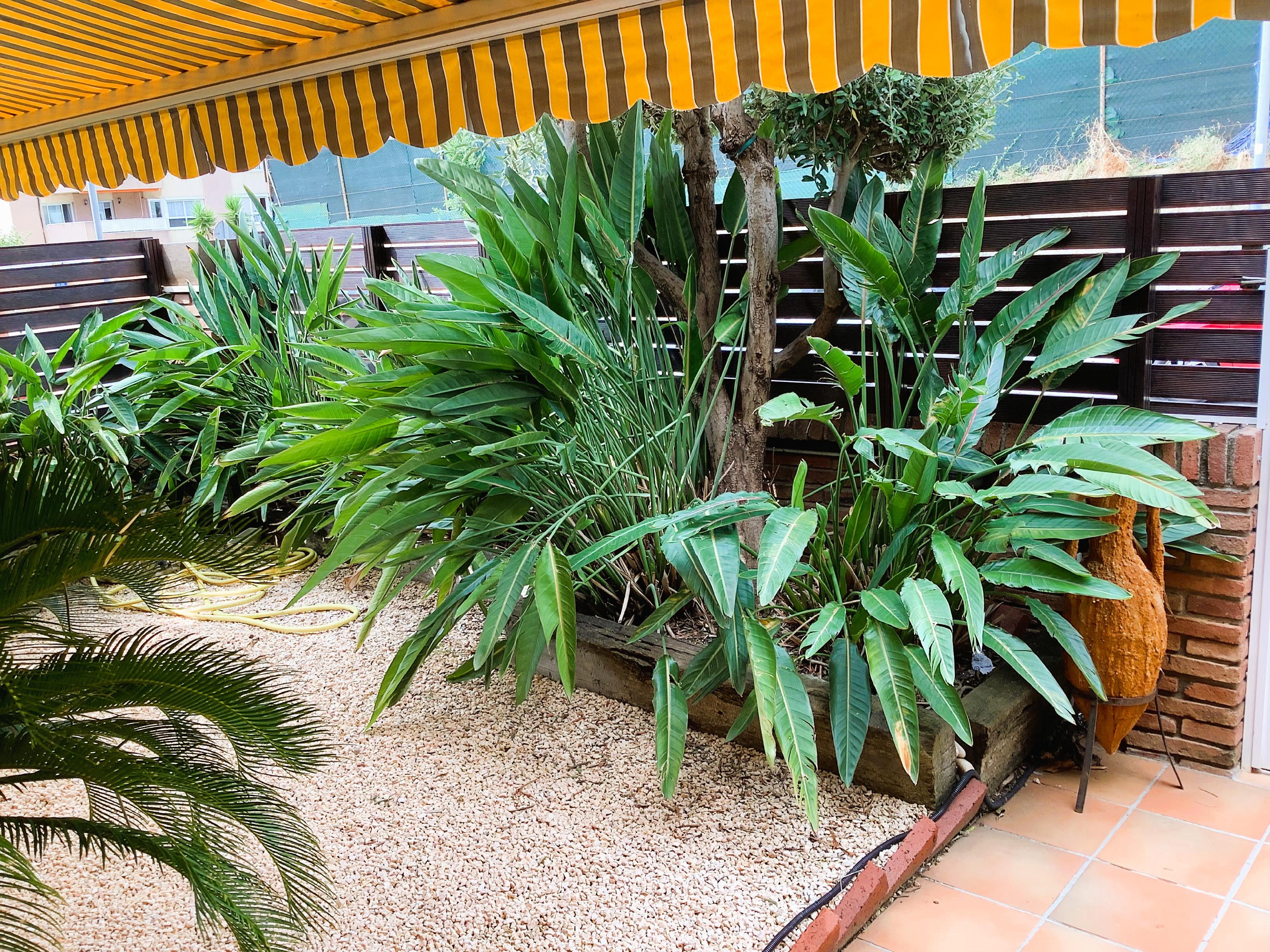 Imagen 1 Casa Adosada en venta en Premià De Dalt / Cami del Mig a prop pavello