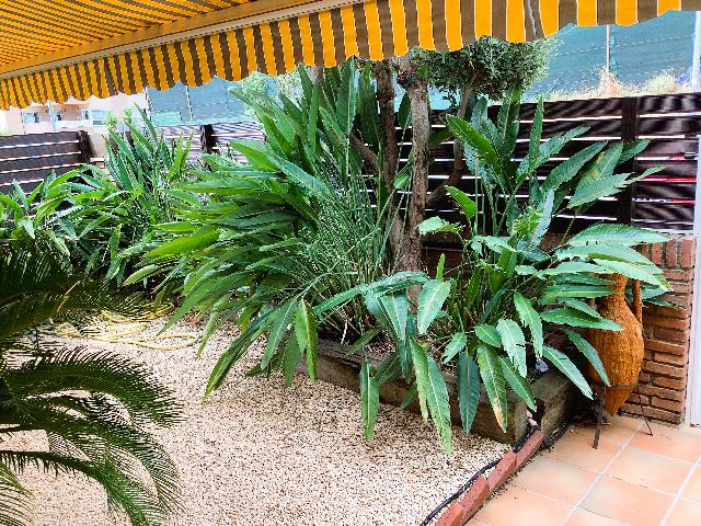 Imagen 1 Inmueble 295655 - Casa Adosada en venta en Premià De Dalt / Cami del Mig a prop pavello