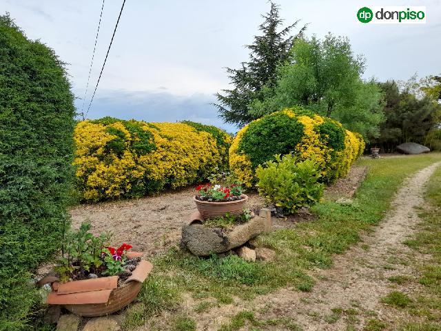 Imagen 15 Inmueble 267784 - Casa Aislada en venta en Vilvestre / Vilvestre. Salamanca