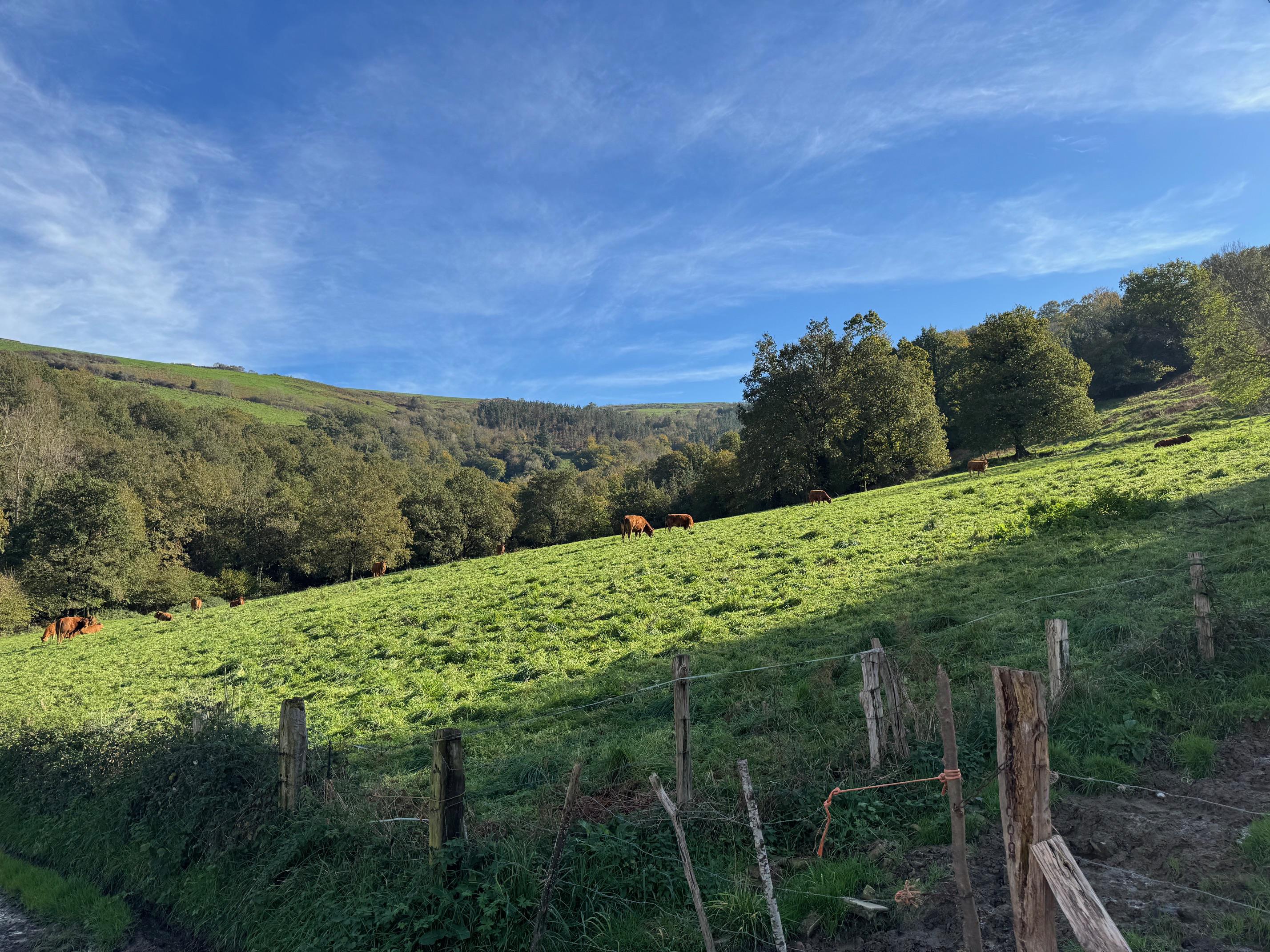 Imagen 20 Casa Rústica en venta en Karrantza Harana/valle De Carranza / Carranza Bikzaia