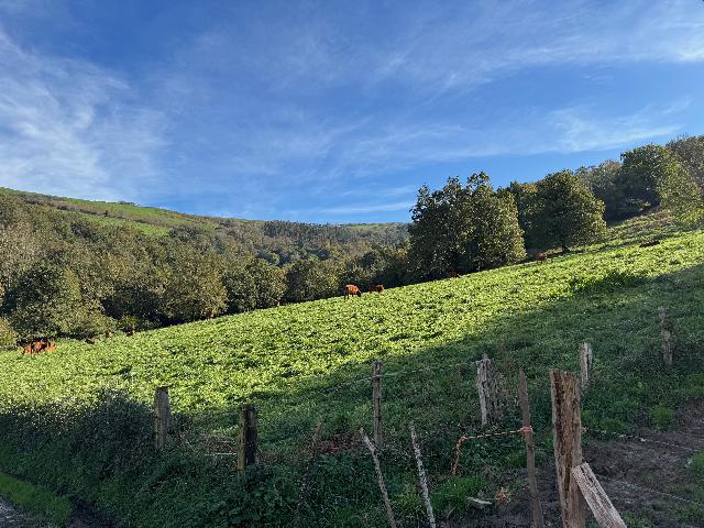 Imagen 20 Inmueble 288863 - Casa Rústica en venta en Karrantza Harana/valle De Carranza / Carranza Bikzaia