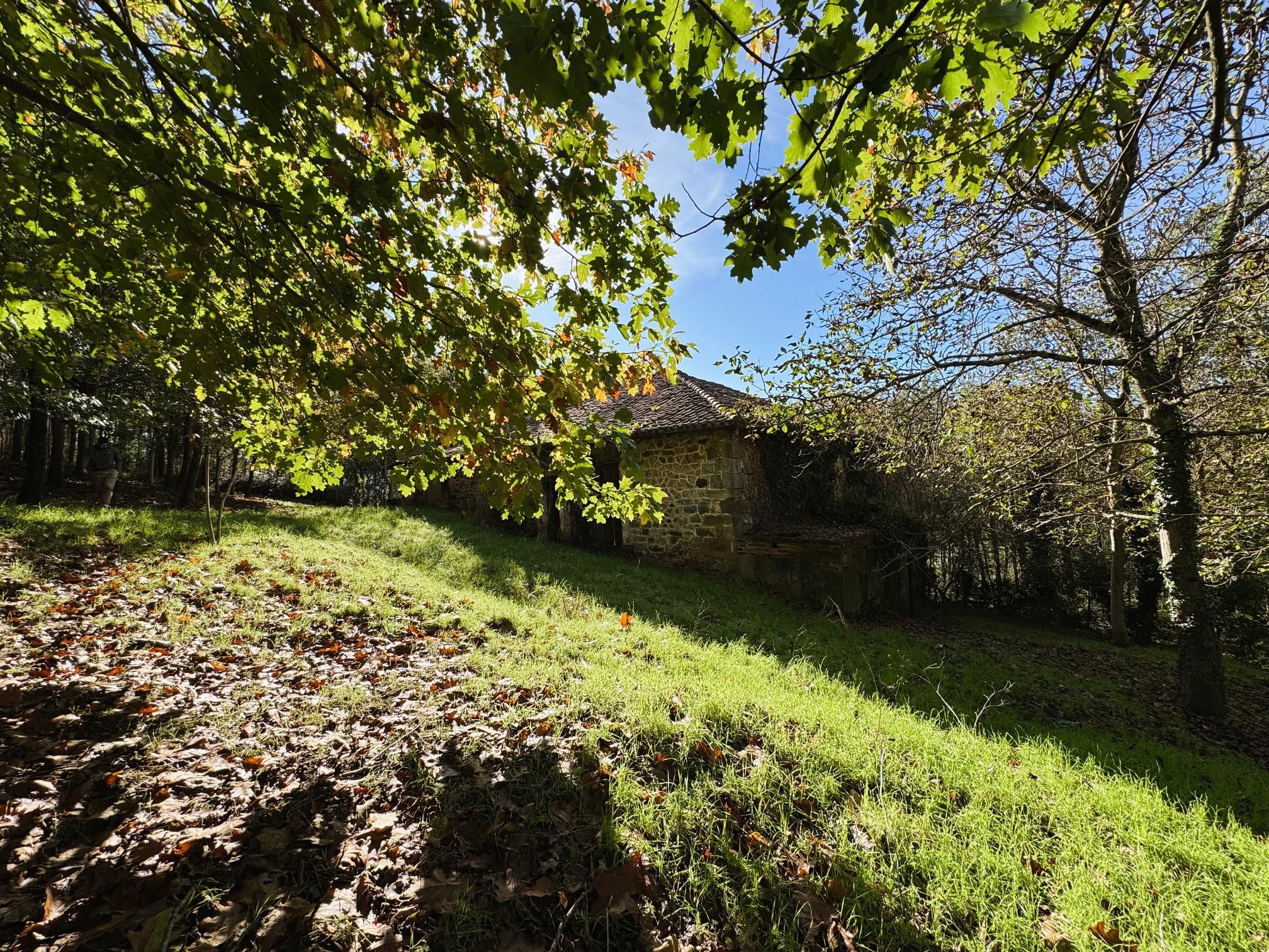 Imagen 6 Casa Rústica en venta en Karrantza Harana/valle De Carranza / Ahedo, Carranza