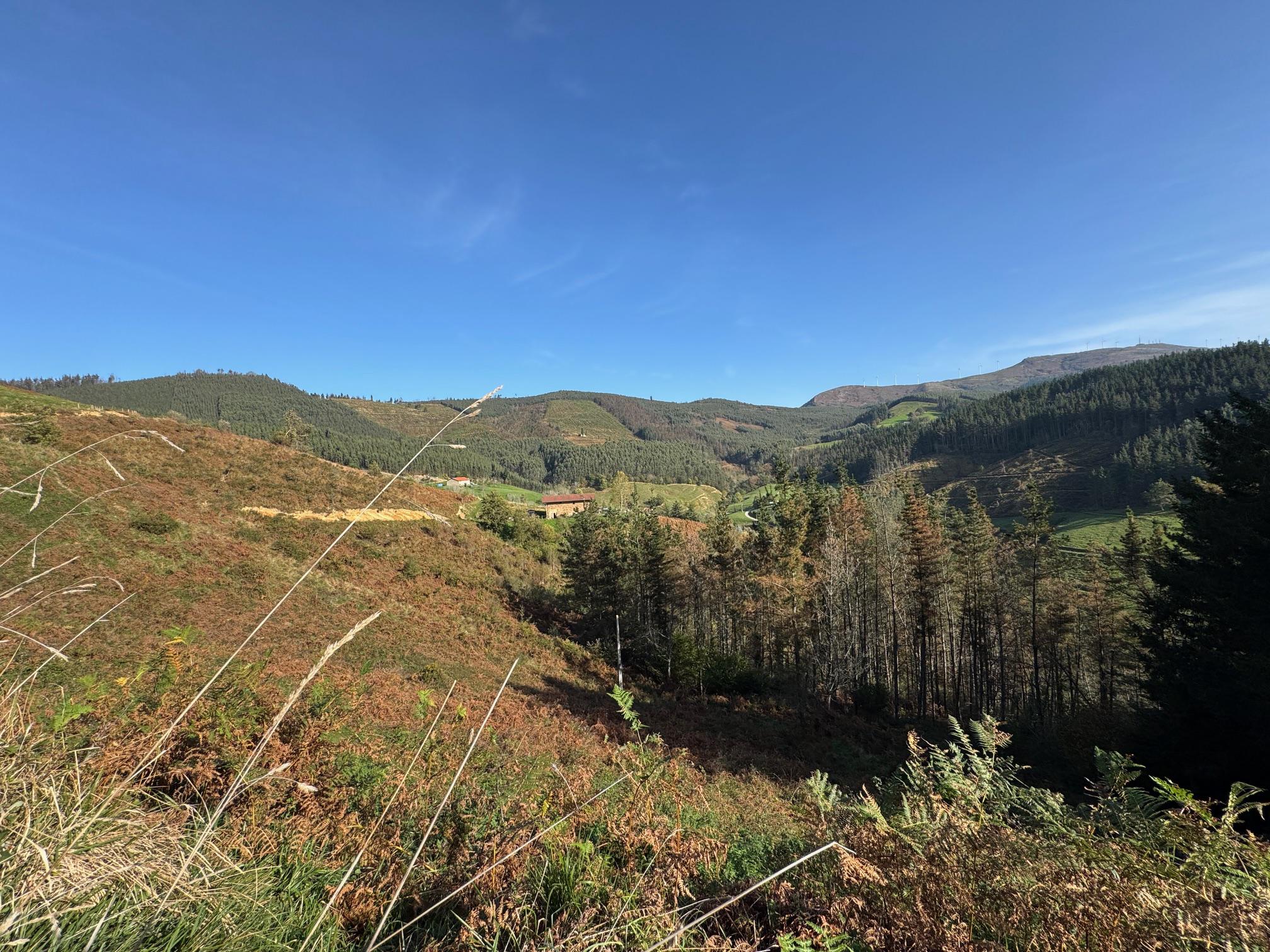 Imagen 13 Casa Rústica en venta en Muxika / Muxica, Bizkaia