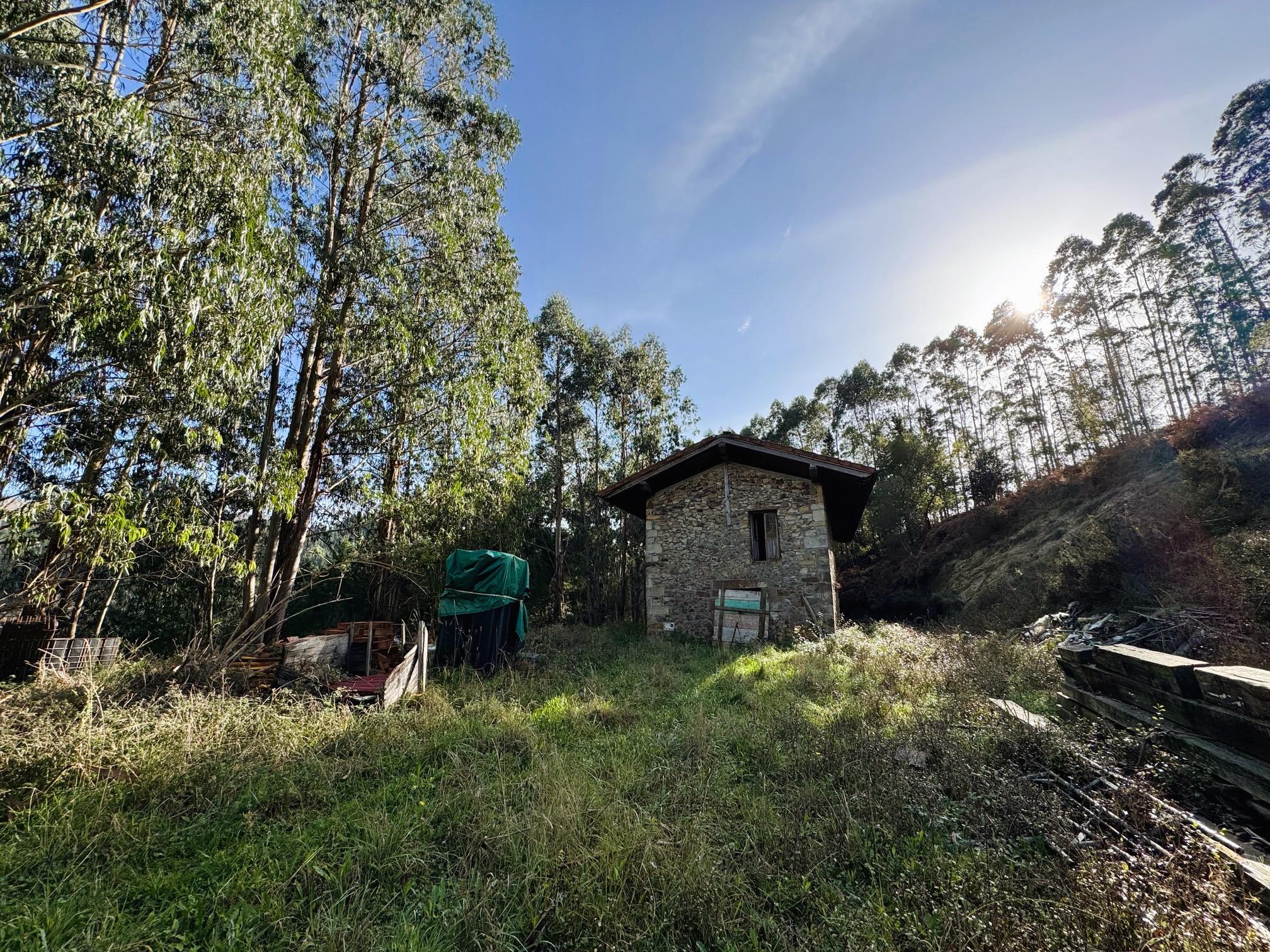 Imagen 12 Casa Rústica en venta en Muxika / Muxica, Bizkaia