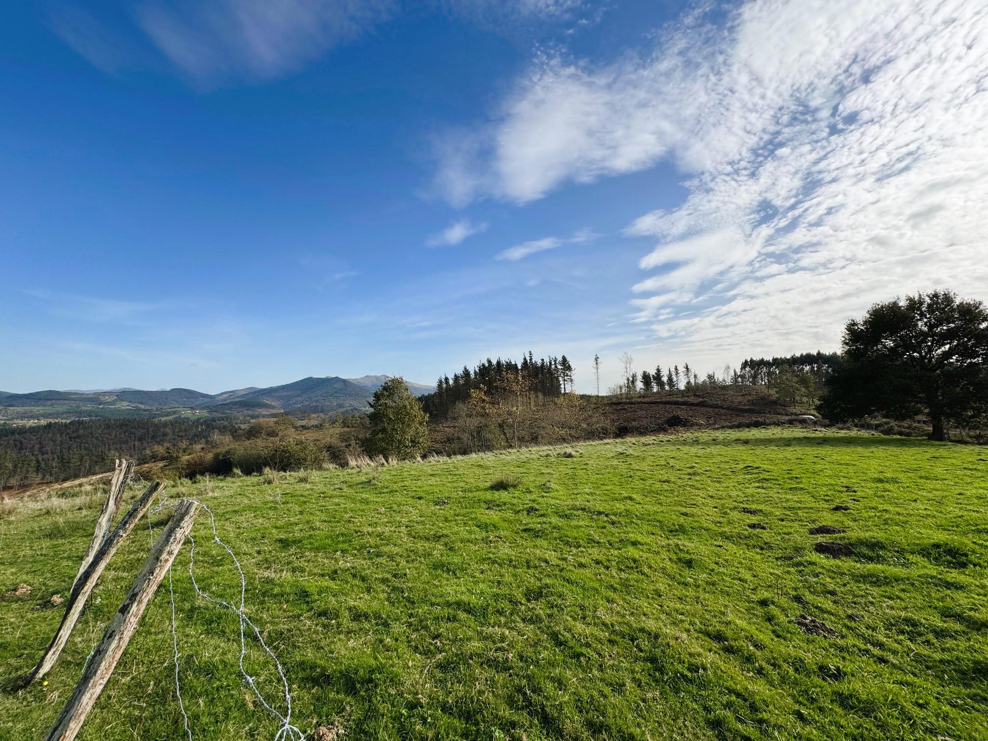 Imagen 28 Casa Rústica en venta en Amorebieta-etxano / Amorebieta, Bizkaia