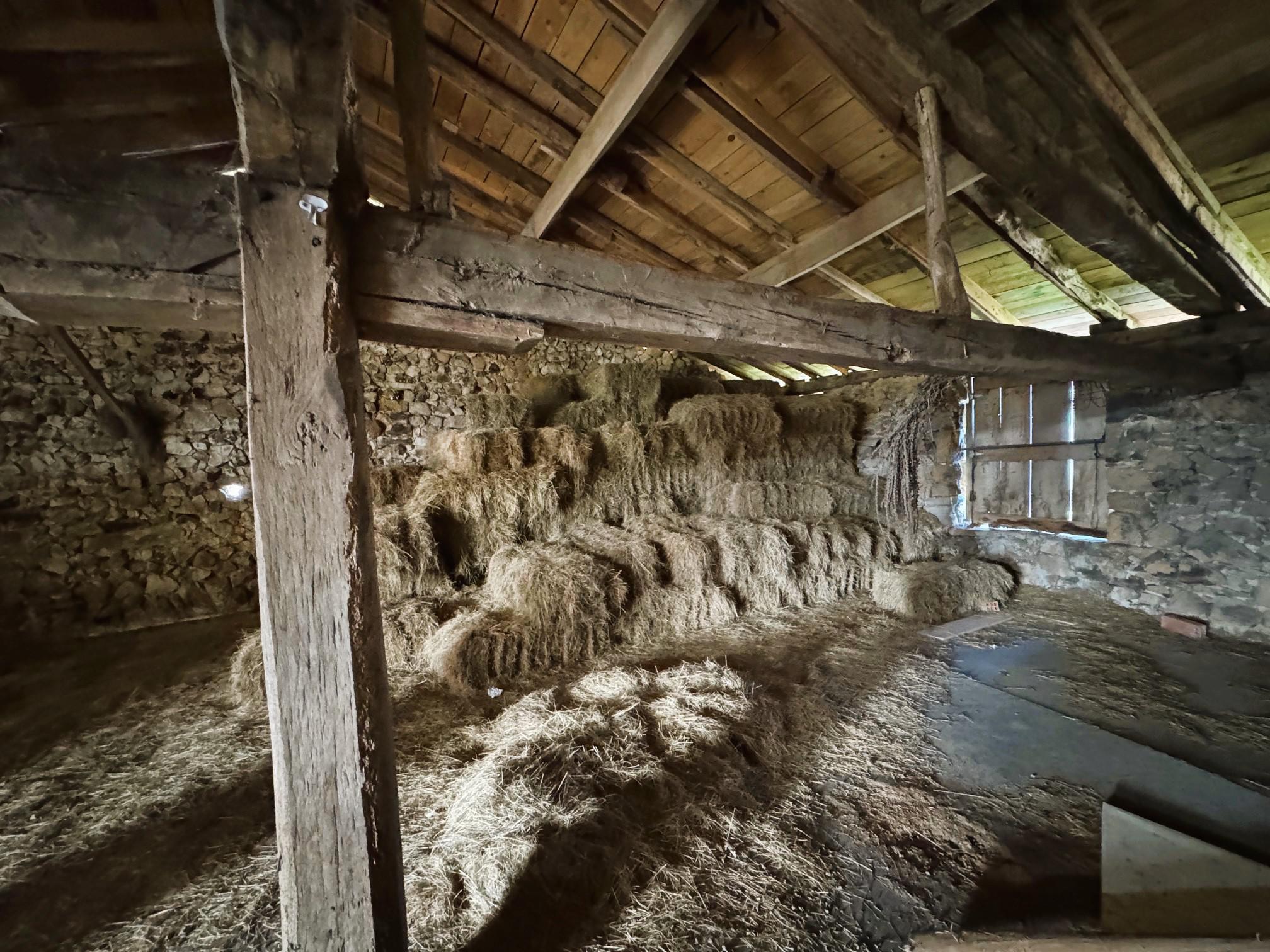 Imagen 23 Casa Rústica en venta en Amorebieta-etxano / Amorebieta, Bizkaia