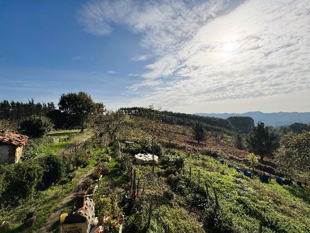 Imagen 21 Inmueble 289147 - Casa Rústica en venta en Amorebieta-etxano / Amorebieta, Bizkaia