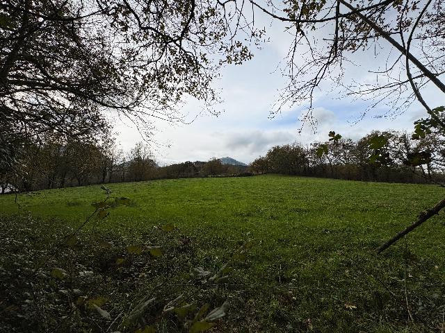 Imagen 39 Inmueble 289595 - Casa en venta en Abadiño / Abadiño, Bizkaia