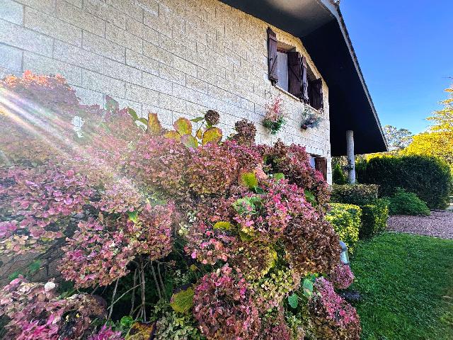 Imagen 40 Inmueble 298183 - Casa Aislada en venta en Maruri-jatabe / Al lado de las piscinas de Maruri