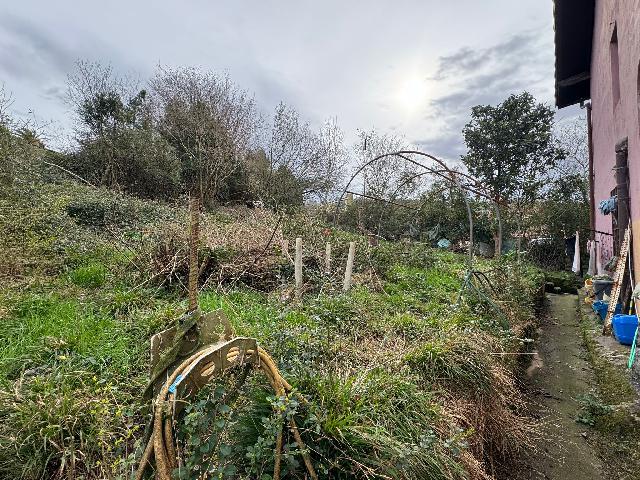 Imagen 12 Inmueble 298933 - Casa en venta en Astigarraga / Astigarraga, Gupuzkoa