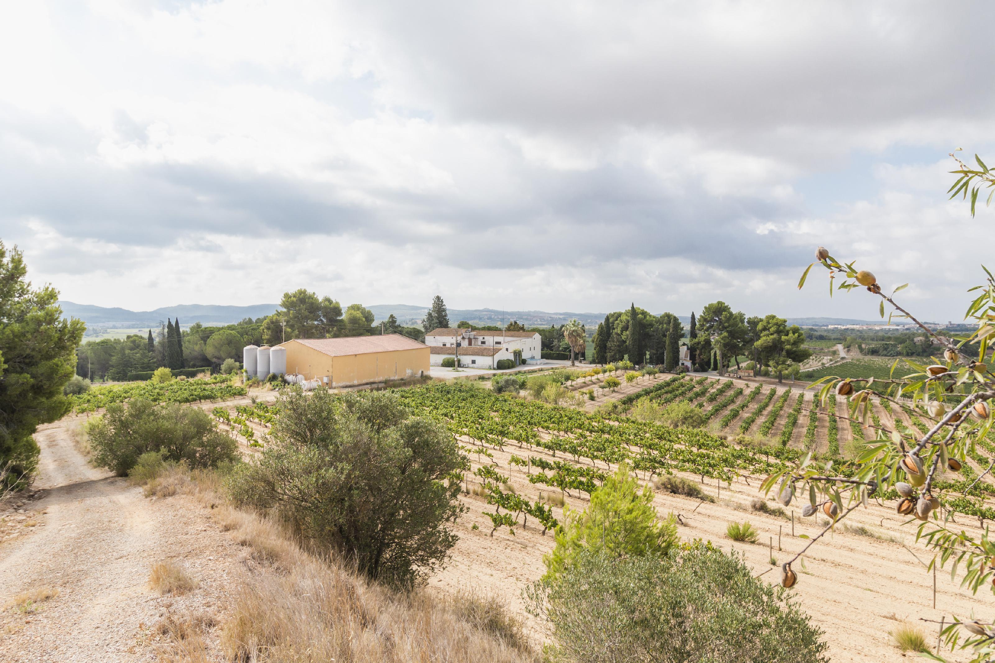 Imagen 2 Casa Rústica en venta en Castellet I La Gornal / Próximo a las cavas Mont Marçal