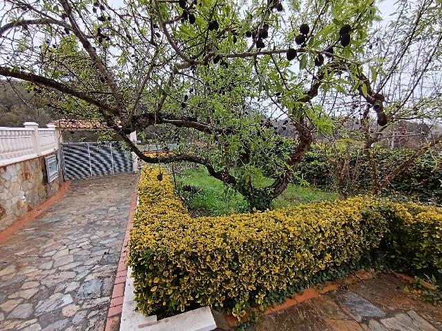 Imagen 42 Inmueble 290194 - Casa en venta en Olèrdola / A la entrada de la Urbanización Can Trabal