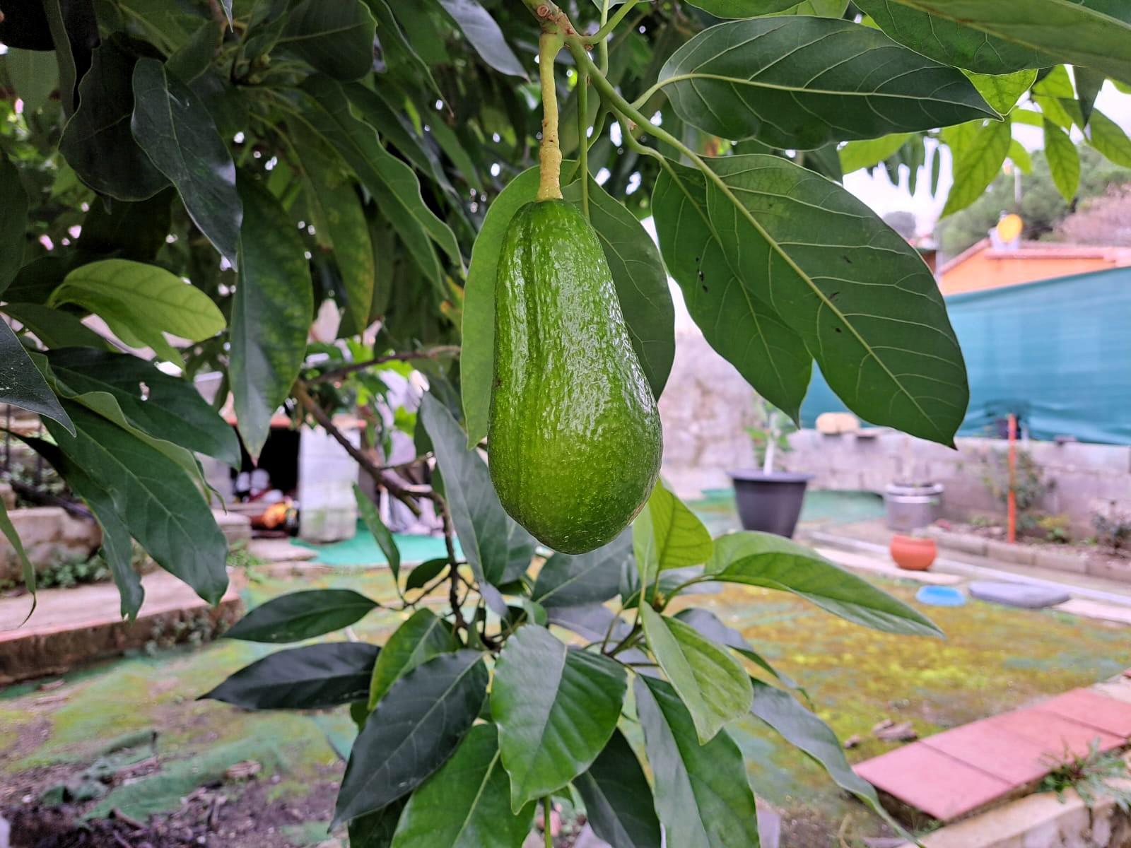 Imagen 27 Casa en venta en Esparreguera / Urbanización Mas d´en Gall