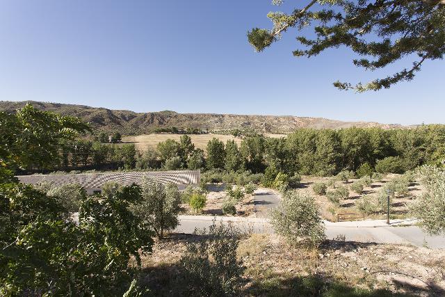 Imagen 24 Inmueble 251893 - Casa en venta en Alamedilla / Cerca de la Parroquia de la Anunciación