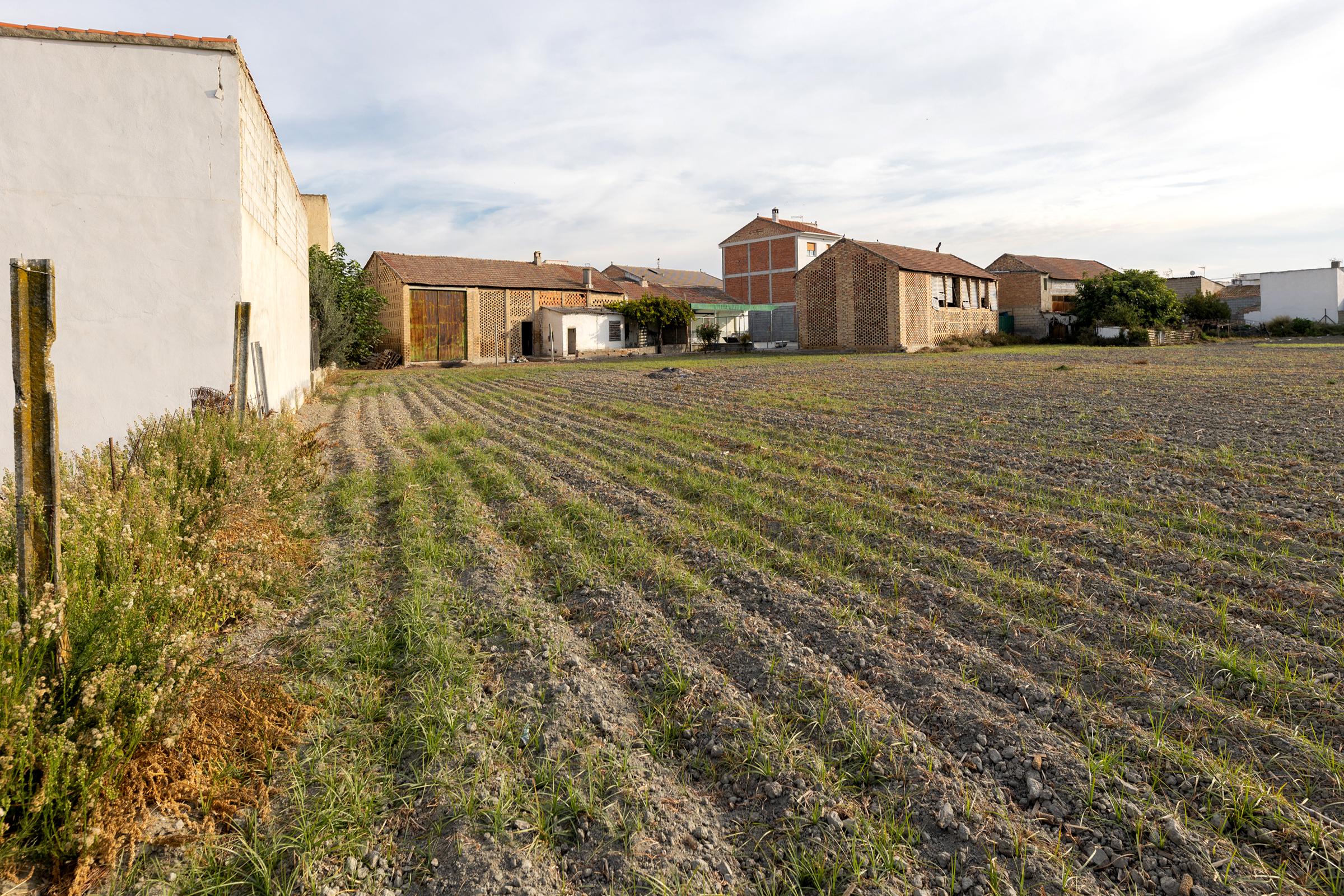 Imagen 1 Casa Pareada en venta en Fuente Vaqueros / Cerca del Ayuntamiento