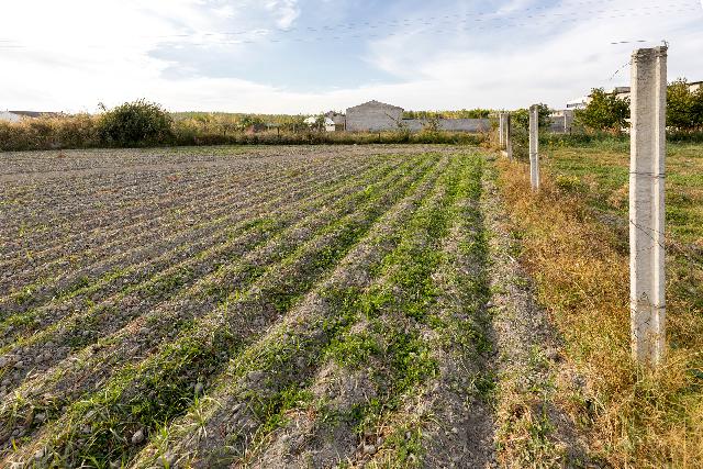 Imagen 20 Inmueble 255035 - Casa Pareada en venta en Fuente Vaqueros / Cerca del Ayuntamiento