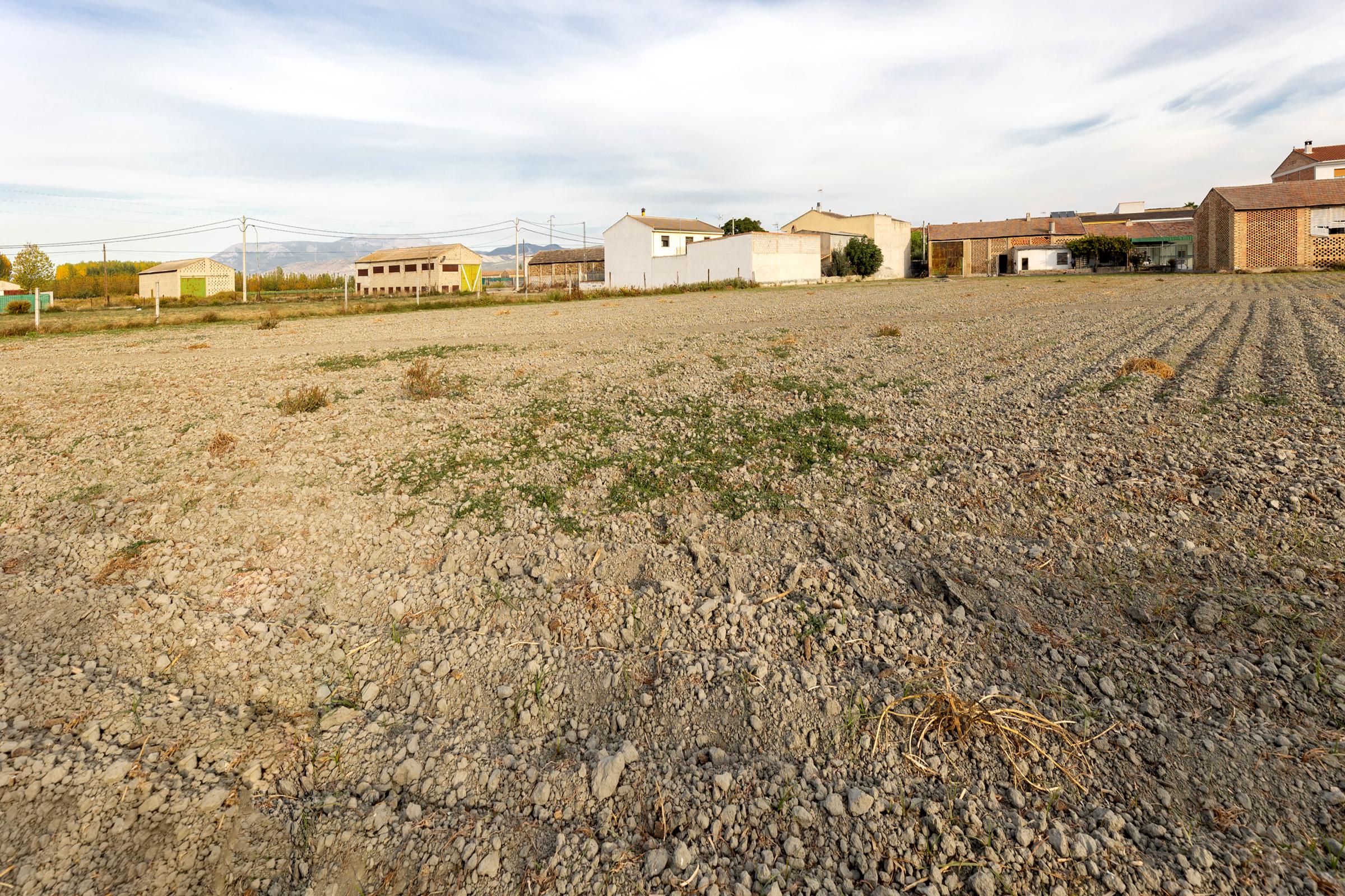 Imagen 16 Casa Pareada en venta en Fuente Vaqueros / Cerca del Ayuntamiento