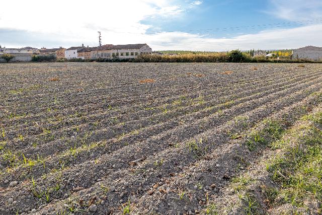 Imagen 22 Inmueble 255035 - Casa Pareada en venta en Fuente Vaqueros / Cerca del Ayuntamiento