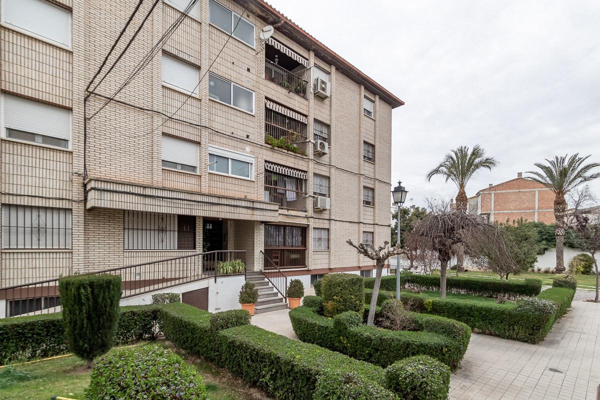 Imagen 23 Planta Baja en venta en Pinos Puente / Frente Cruz de Granada