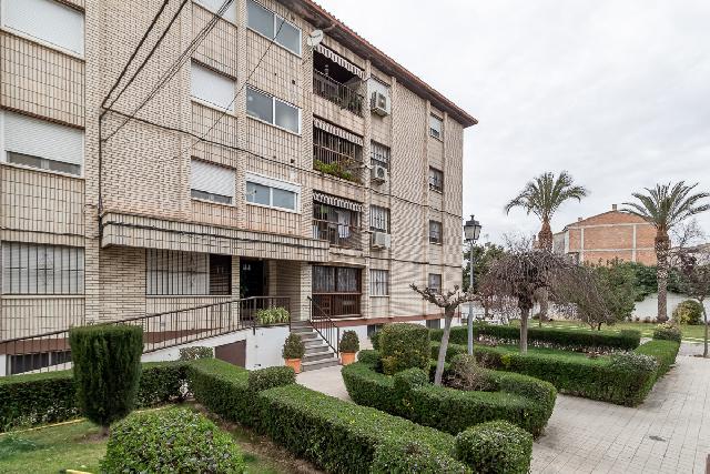 Imagen 23 Inmueble 259206 - Planta Baja en venta en Pinos Puente / Frente Cruz de Granada